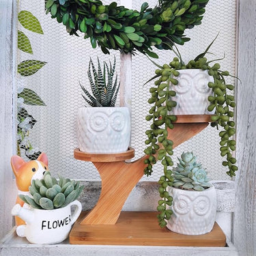 Owl Ceramic Planter Set – White Succulent Pots with Bamboo Tree Stand
